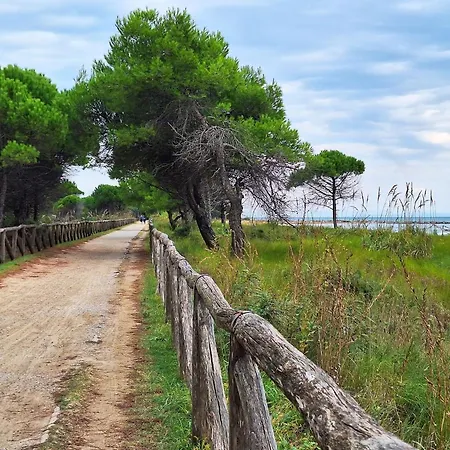 Wonderful Flat Near The Renowned In * Bibione